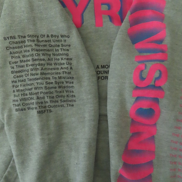 MSFTSrep Men’s SYRE - A Beautiful Vision Kangaroo Hoodie - L - grey - Picture 3 of 10